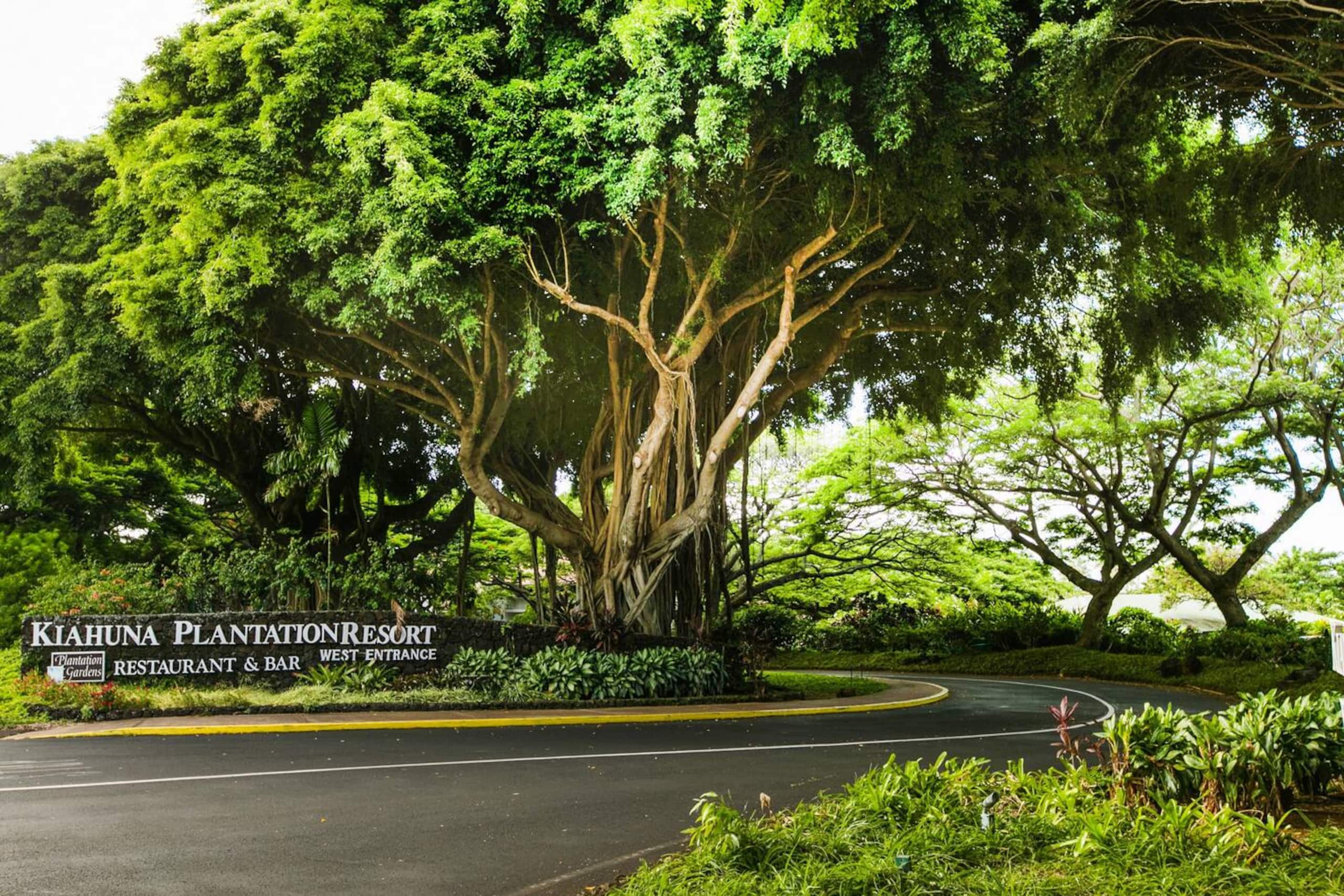 The Best Beachfront Hale on Kauai - Image 26