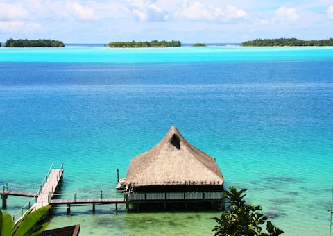 Gorgeous Over Water Bungalow in Bora Bora.