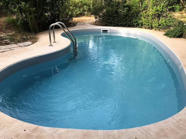 Villa Cardinale in pine forest & pool on Salento gallery image 3