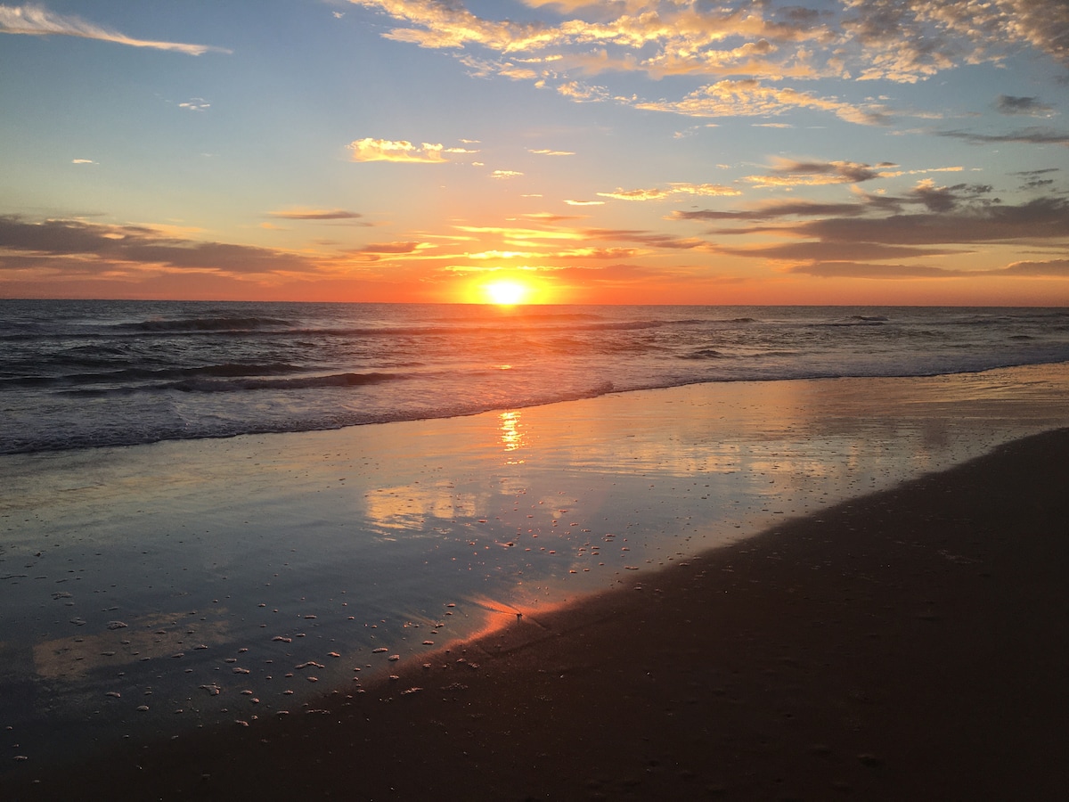 Ormond Oasis Retreat