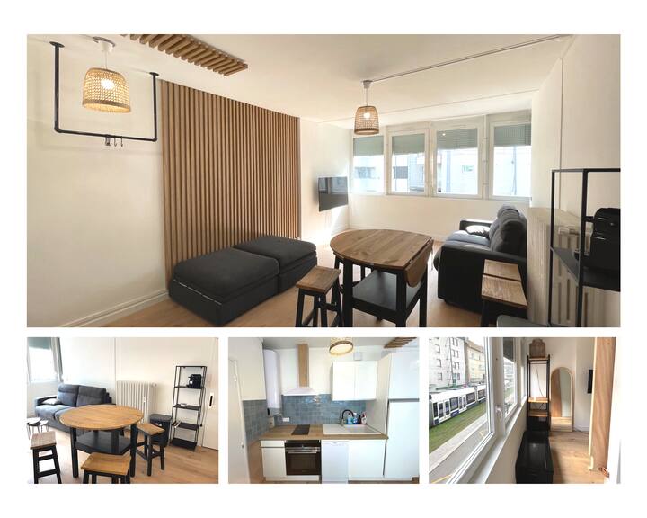 Geneva Modern Motel Apartments for Rent in Gaillard, AuvergneRhôneAlpes, France Airbnb