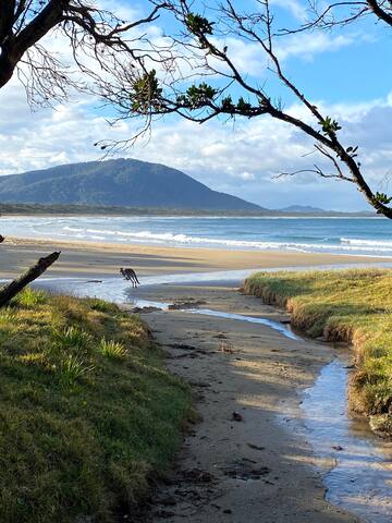 Illoura North – Award winning luxury beach house gallery image 4