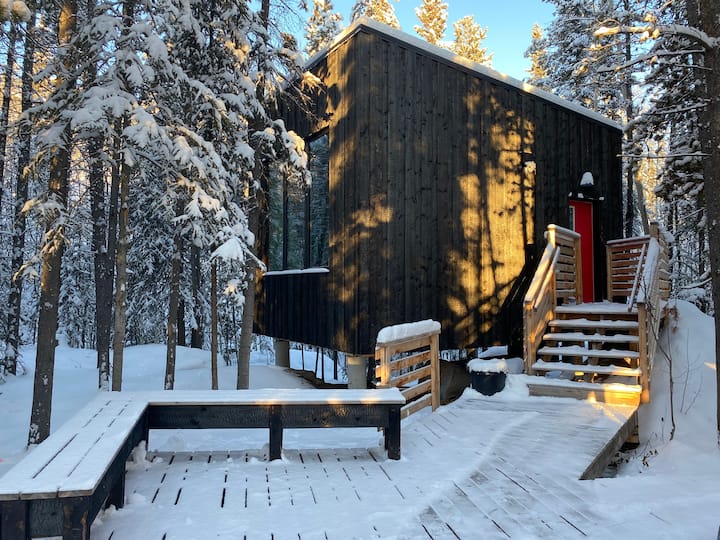 Black Spruce - Red Door - Landscape Hotel!