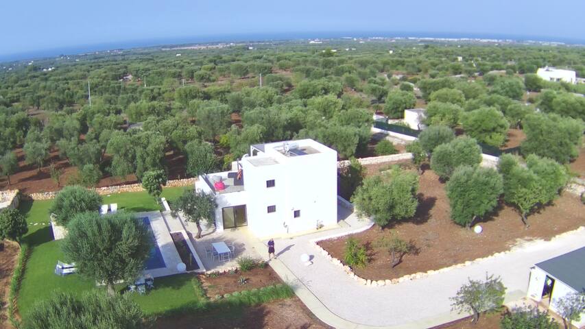 Grotta Giulia – Traumvilla mit Pool und Meerblick gallery image 4