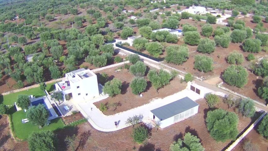 Grotta Giulia – Traumvilla mit Pool und Meerblick gallery image 3