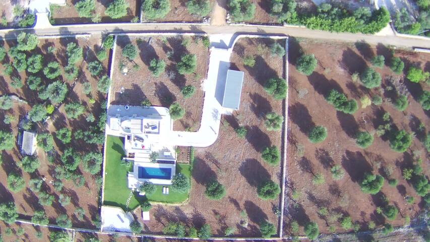 Grotta Giulia – Traumvilla mit Pool und Meerblick gallery image 2