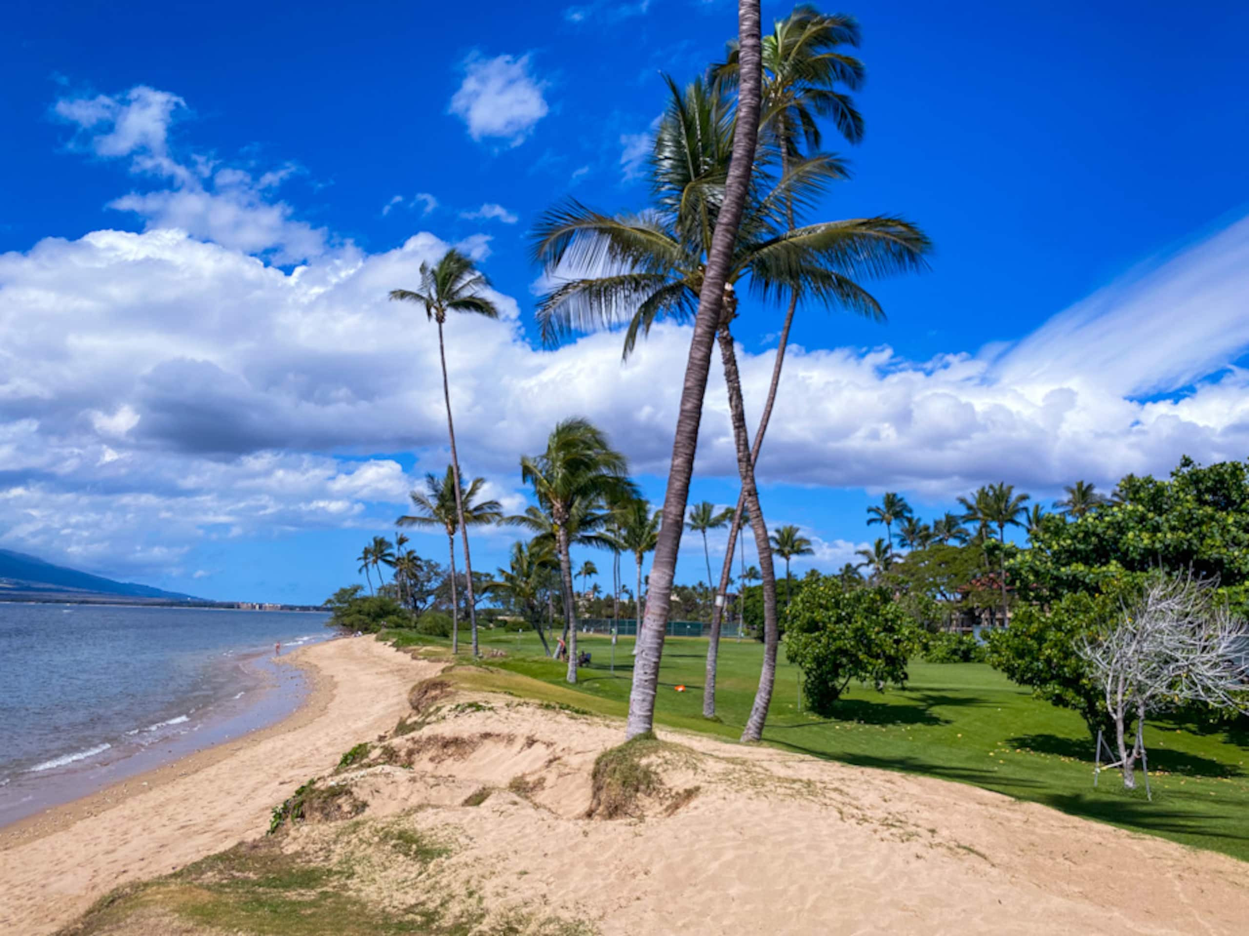 Condo in Kihei · ★4.99 · 1 bedroom · 3 beds · 2 private baths - Image 3