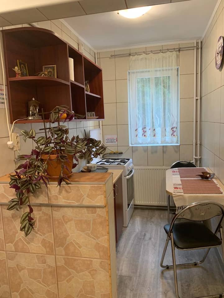 Apartment Near The Forest - Sinaia