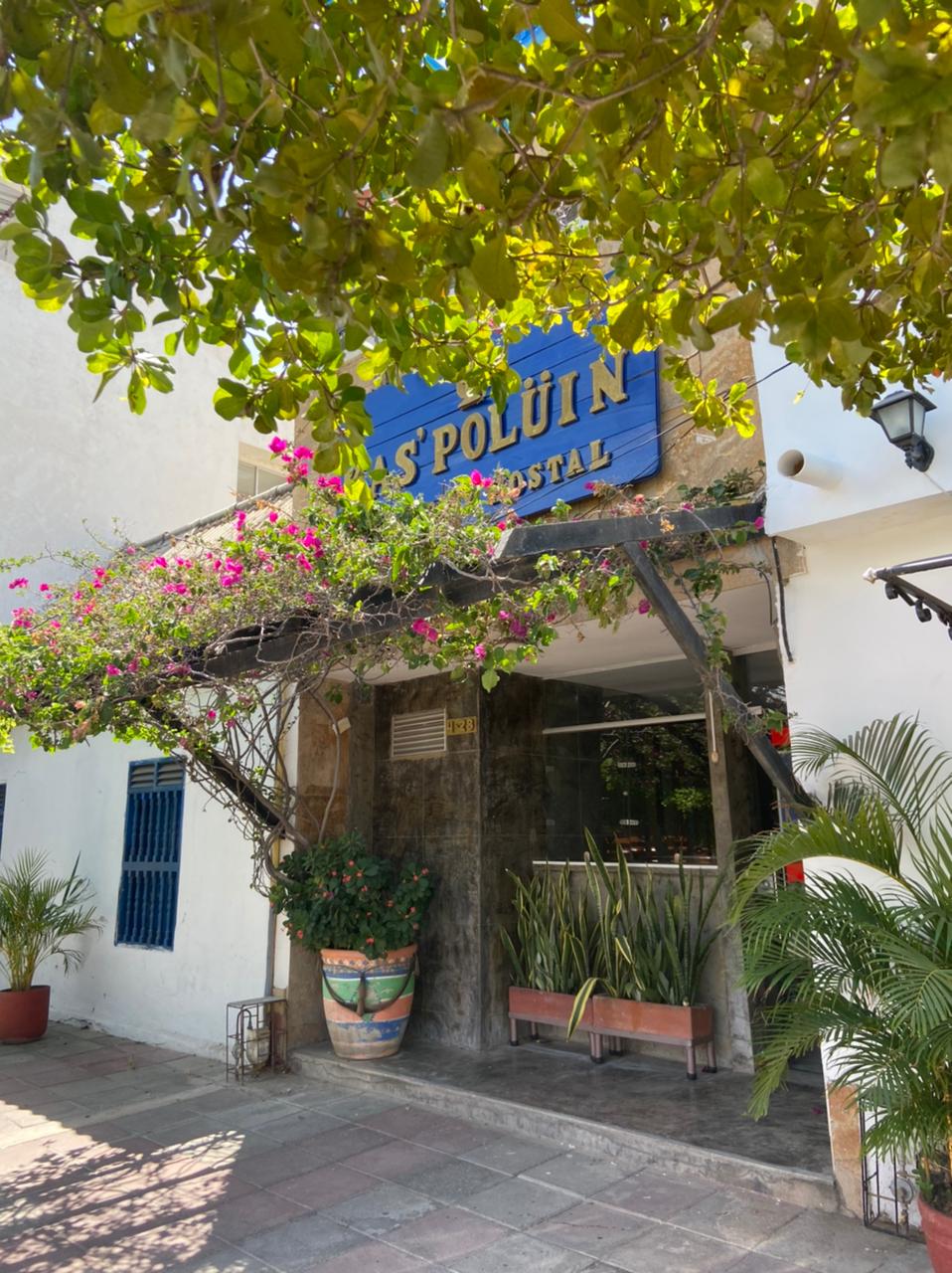The entrance of a charming establishment is framed by vibrant green foliage and flowering plants. A wooden bench sits outside, while a large blue sign with 'Hostal Polüin' is prominently displayed above the entrance, which features glass doors inviting guests inside.