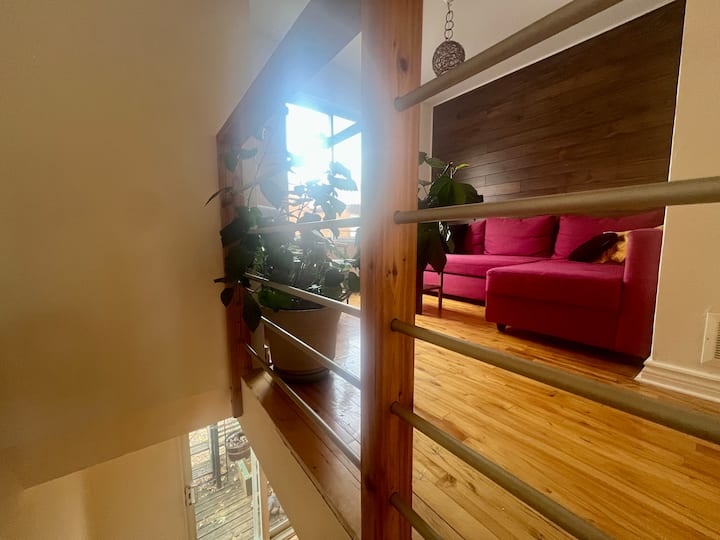 楼上开放区域第二间起居室或卧室。 非常舒适的沙发床（可转换为标准双人床）。 后院树景。