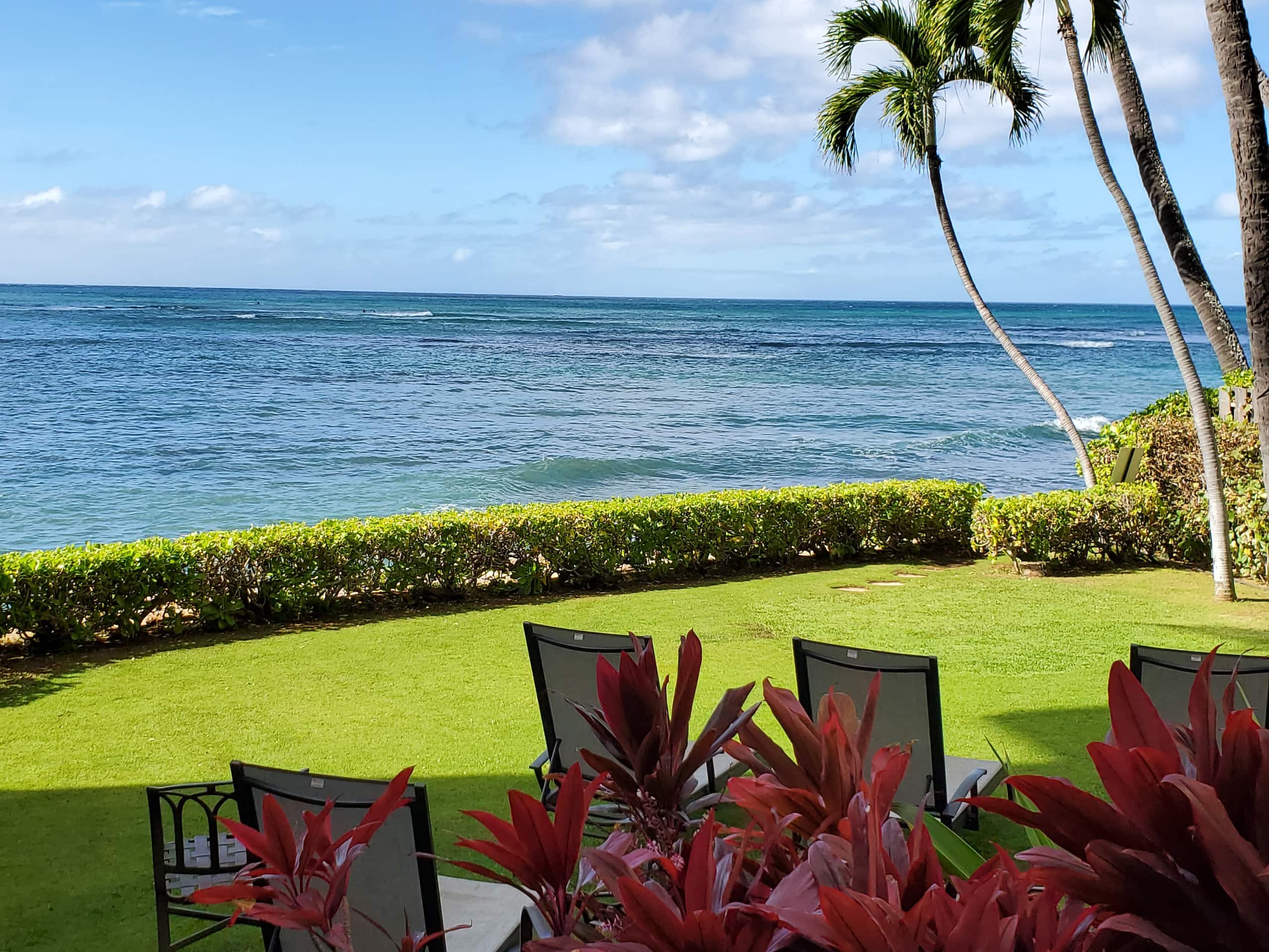 Condo in Honolulu · ★4.77 · Studio · 1 bed · 1 bath - Image 5