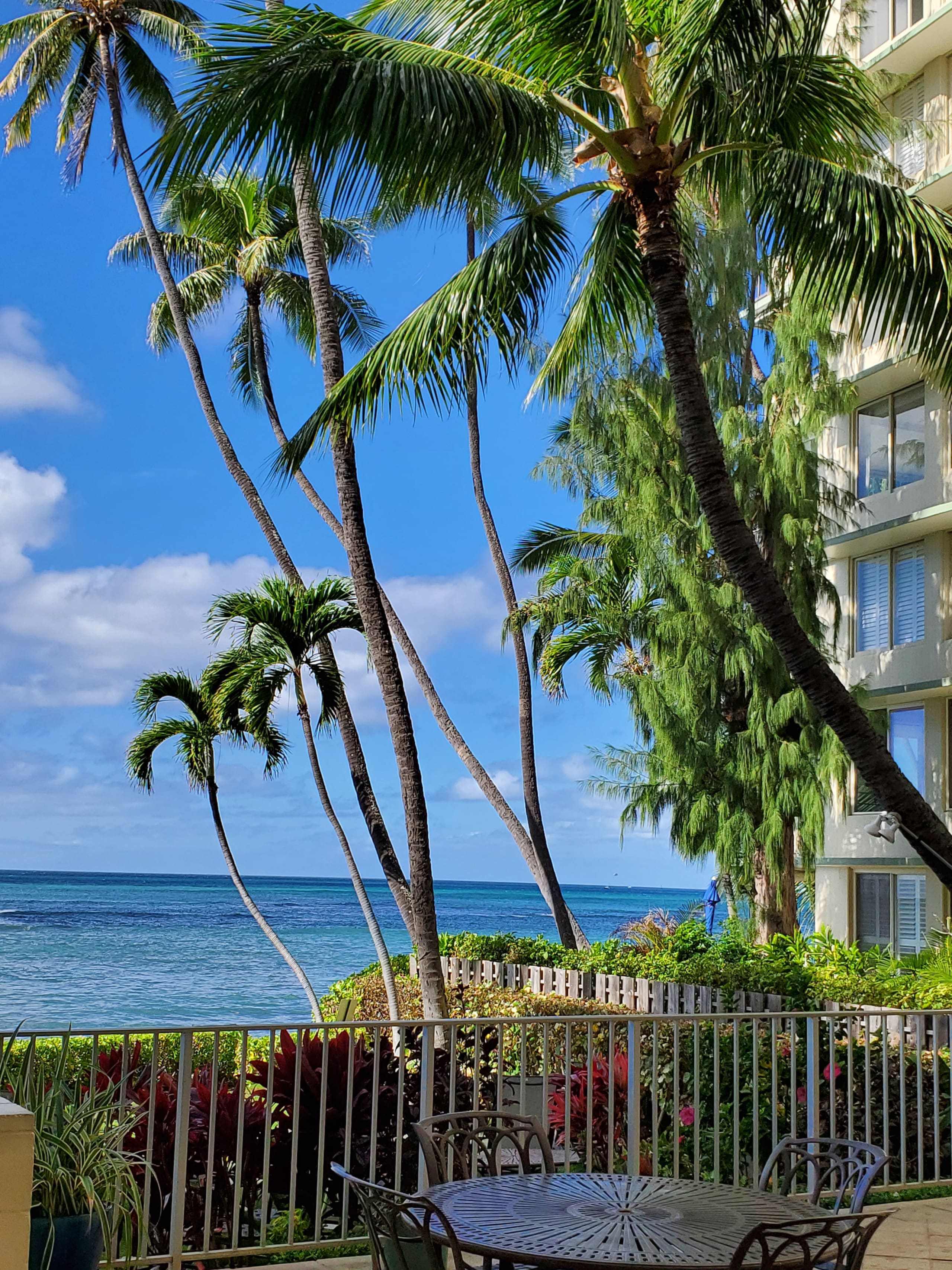 Condo in Honolulu · ★4.77 · Studio · 1 bed · 1 bath - Image 4