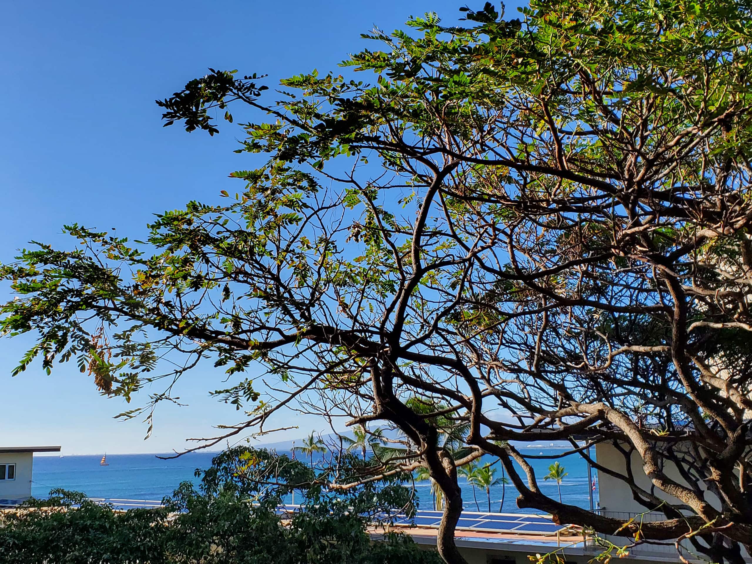 Condo in Honolulu · ★4.77 · Studio · 1 bed · 1 bath - Image 11