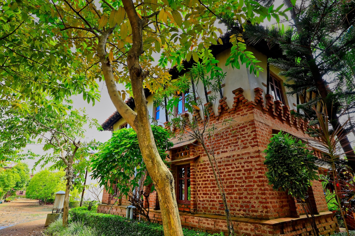 The bungalow, surrounded by lush greenery, features a textured brick exterior and traditional architecture. Tall trees and ornamental plants provide shade, and large windows allow natural light to fill the living spaces. An inviting atmosphere is created by the blend of nature and the home's rustic charm.