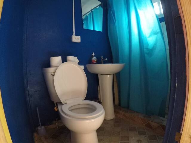 Twin Fin Hostel managed Airbnb listing 1