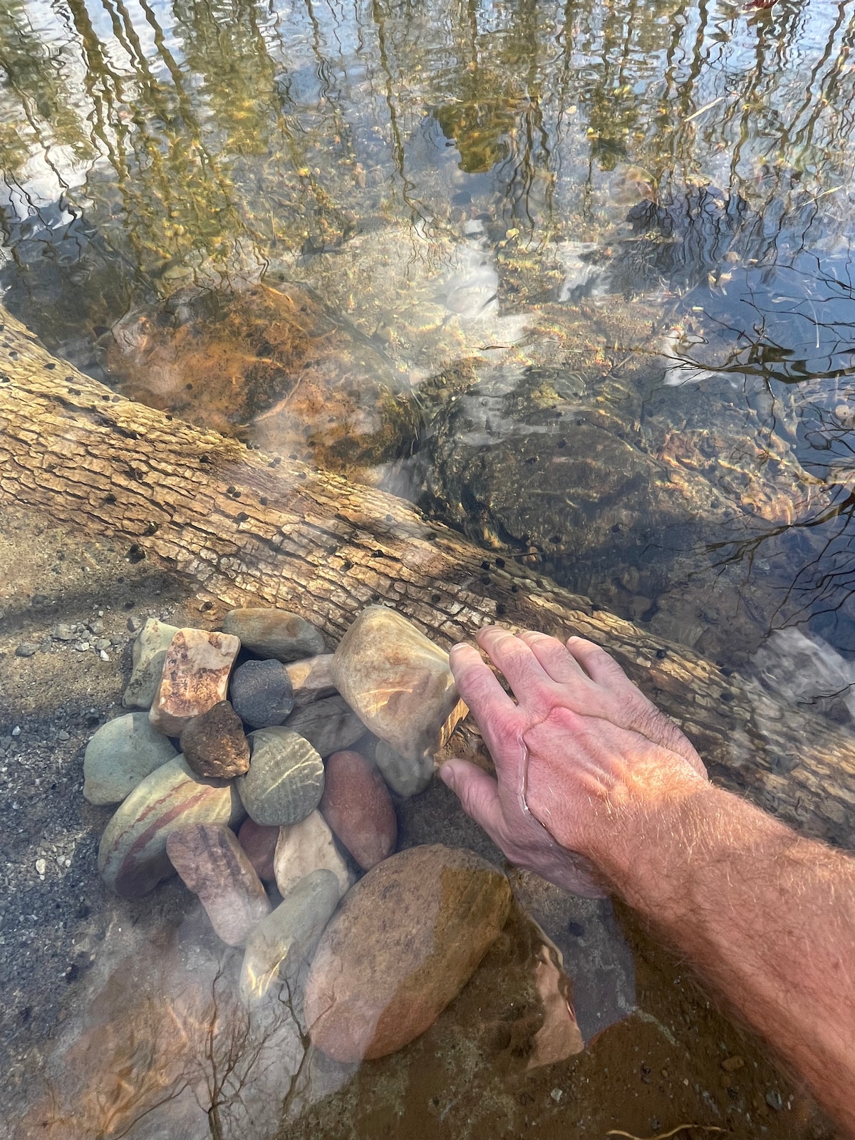 A hand reaches out to touch the water's surface, revealing a collection of smooth stones arranged neatly by the shore. The clear water reflects the surrounding trees and cloudy sky, enhancing the connection to the natural environment.