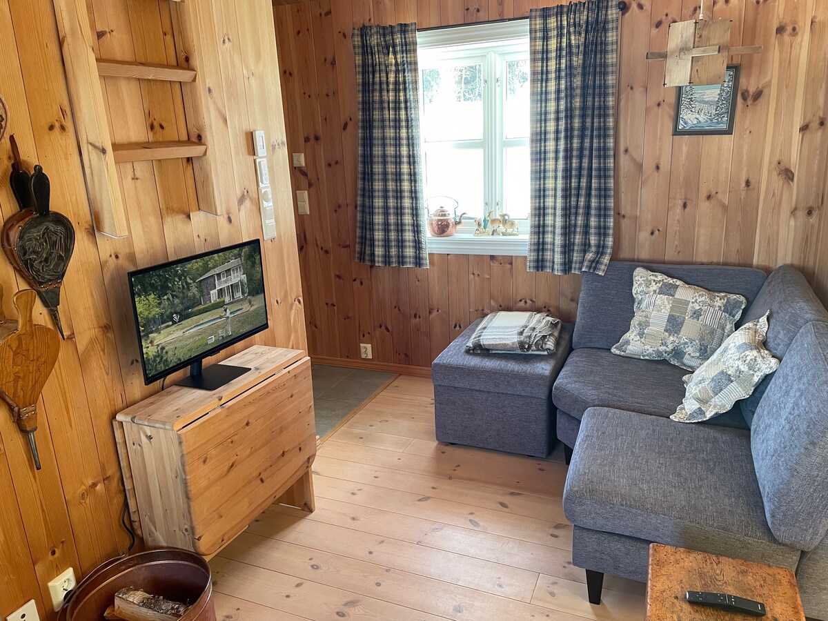 Couch hook with smart screen. 