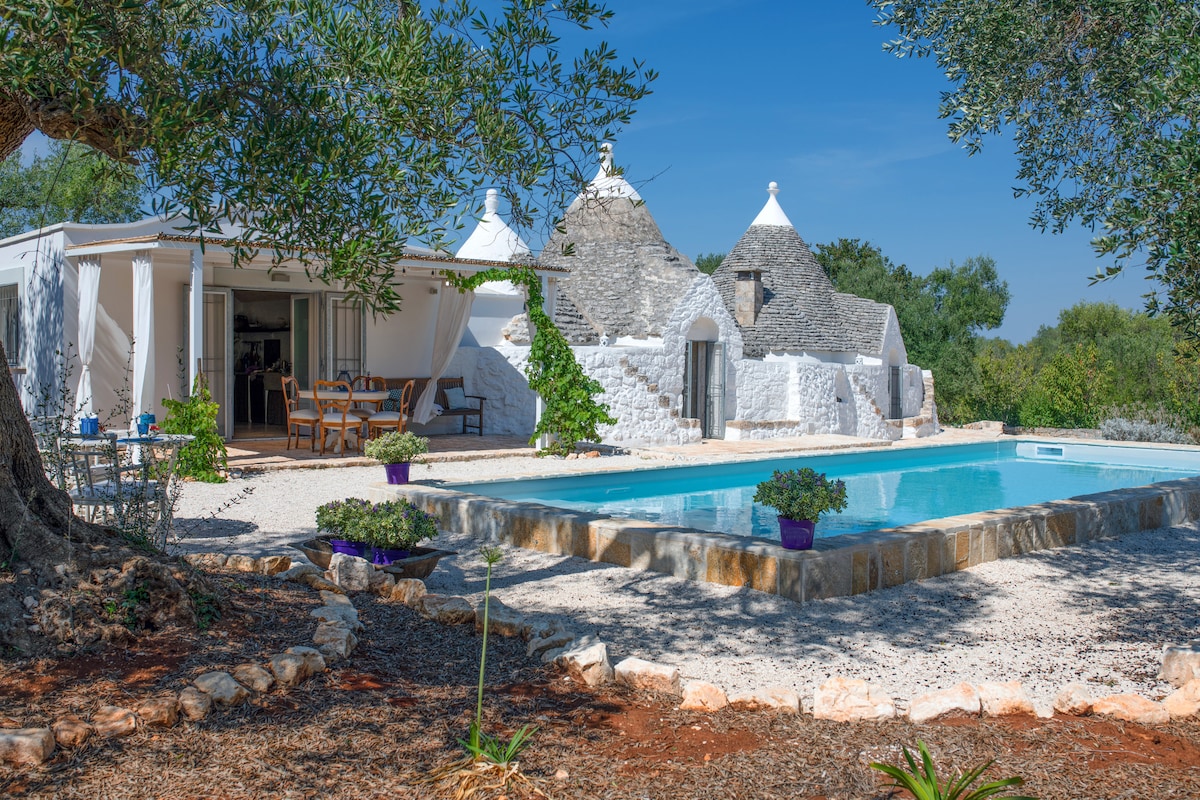 A refreshing pool is surrounded by a stone patio, inviting outdoor lounging. Characteristics of traditional trulli structures are visible, showcasing their unique conical roofs. Lush greenery and scattered flowers enhance the natural setting, with a covered seating area nearby for relaxation and dining.