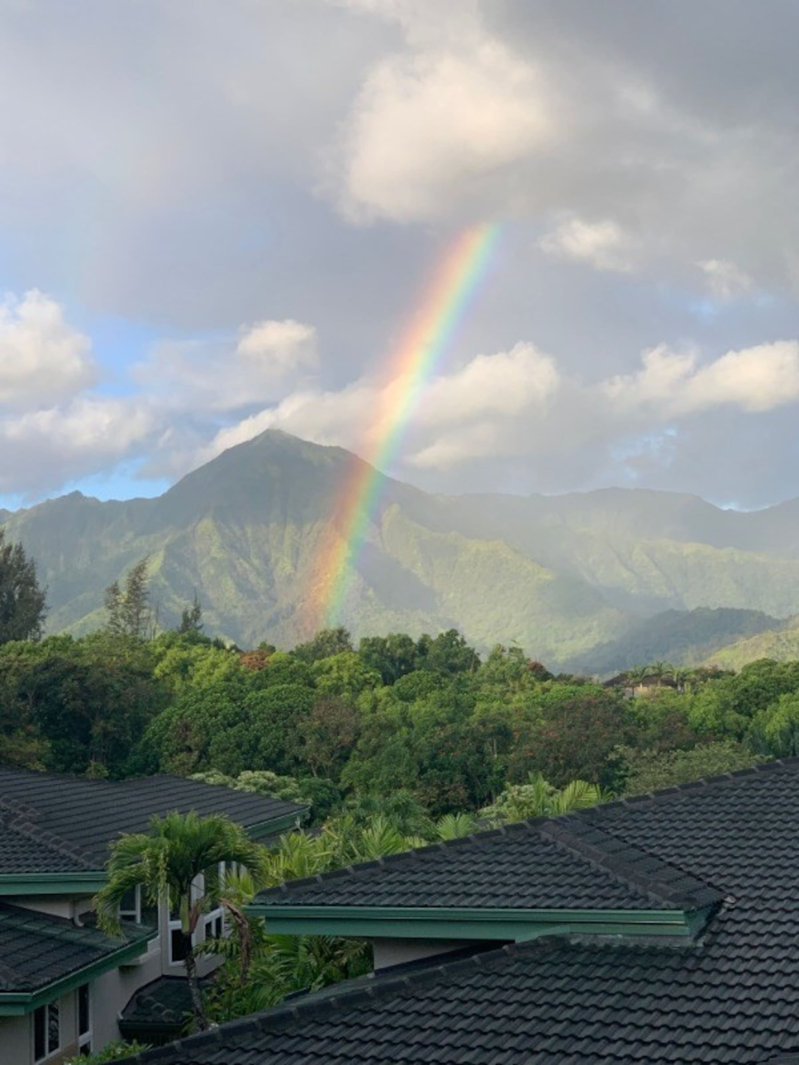 Views! Mountains, Waterfalls, Hot tub, Amenities - Image 21