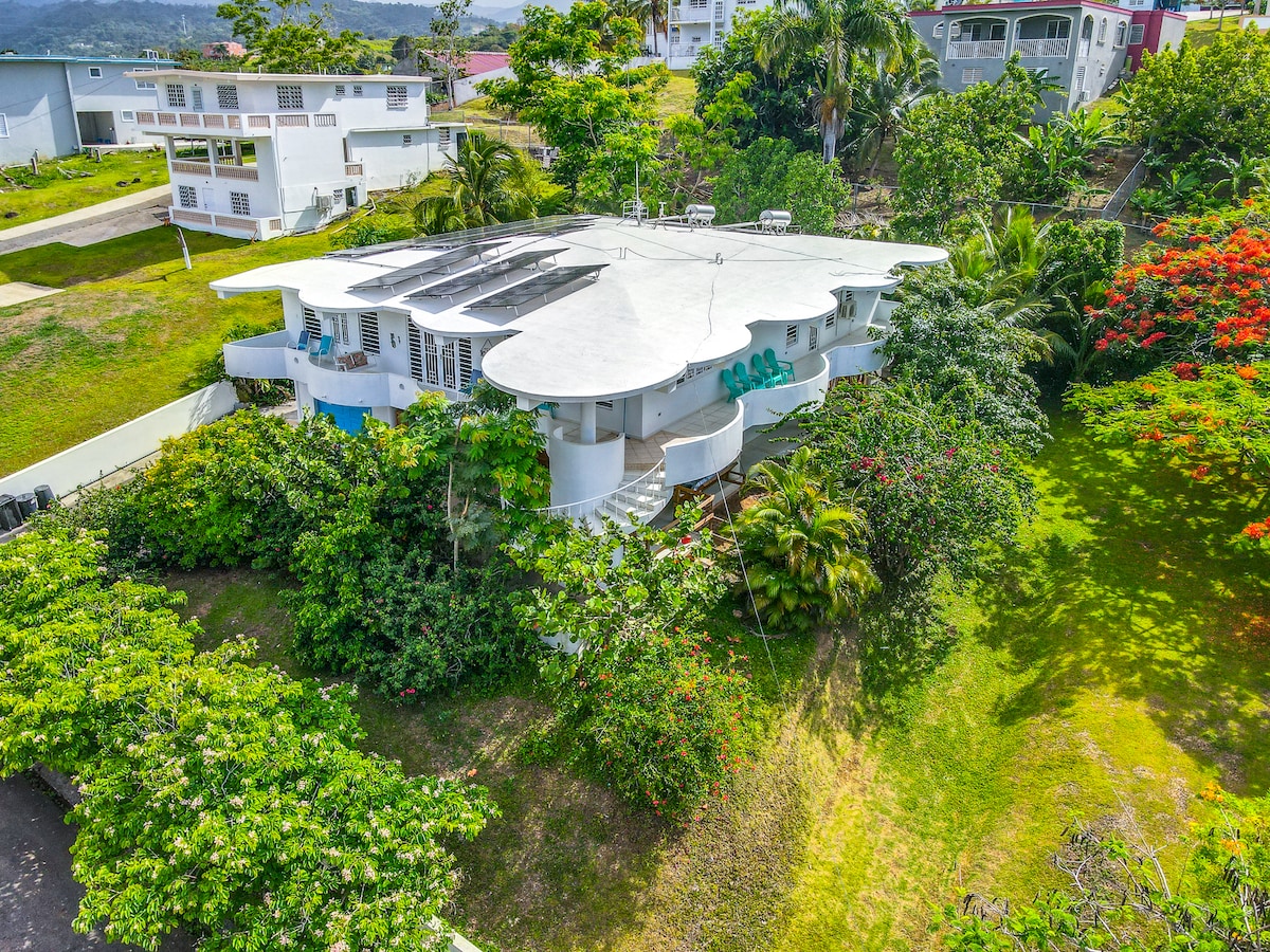The exterior of the home is showcased, featuring a unique architectural design with a flowing roofline. Lush greenery surrounds the property, providing a tropical ambiance. Nearby buildings and colorful foliage contribute to the vibrant landscape, enhancing the feeling of privacy and tranquility.