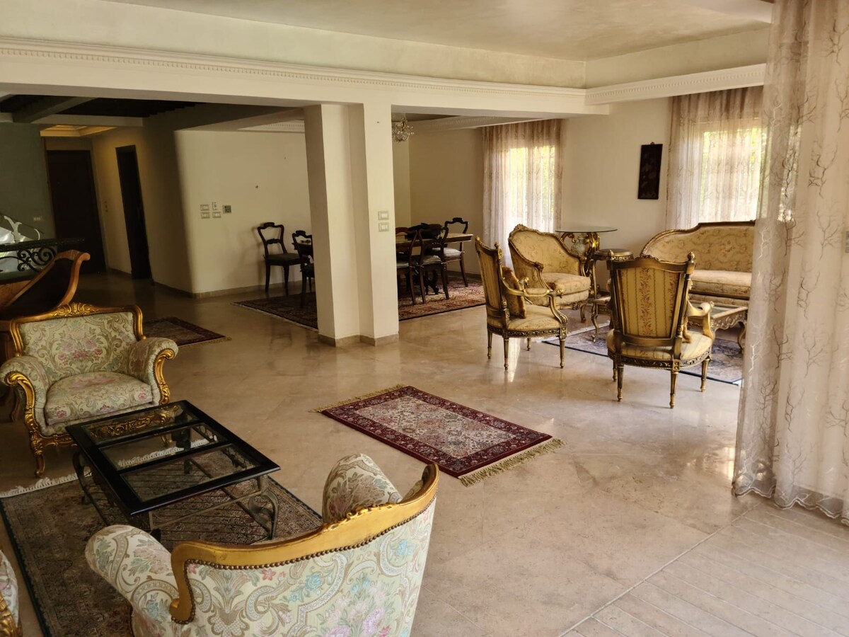 An expansive living area showcases elegant furniture, including ornate armchairs and a glass-topped coffee table. The space is accented by decorative rugs and large windows allowing natural light to filter in. Adjacent to the living area, a dining space is visible, enhancing the open layout.