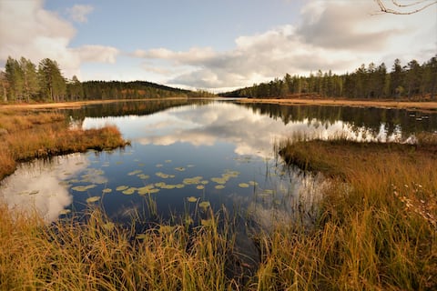 Successful Airbnb property: Offgrid log cabin located between three lakes in Åmot