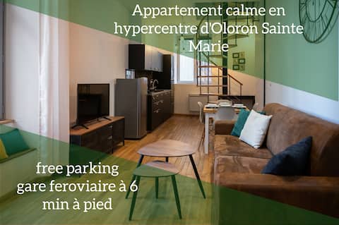 Hypercenter apartment facing public garden