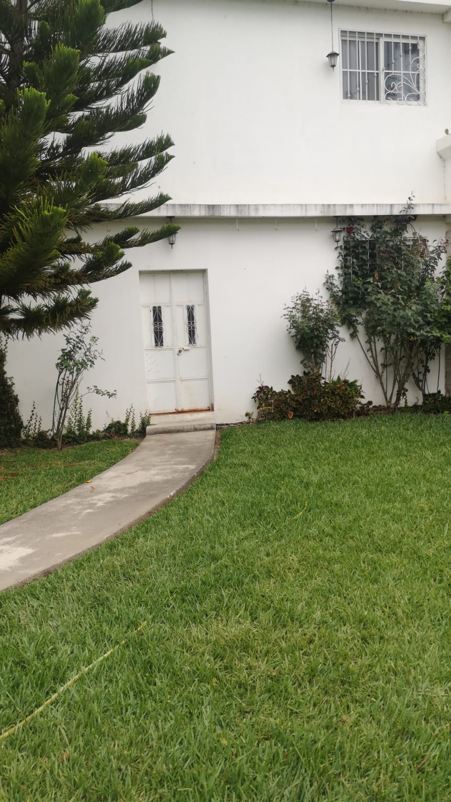 A well-maintained pathway leads to a white door, surrounded by lush green grass. Shrubs and small plants complement the exterior, enhancing the natural setting of the property. The structure's simplicity is highlighted against the greenery.