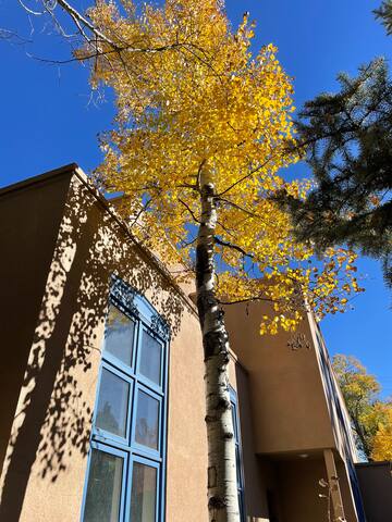 Spacious, Walkable Wash Park Residence gallery image 3