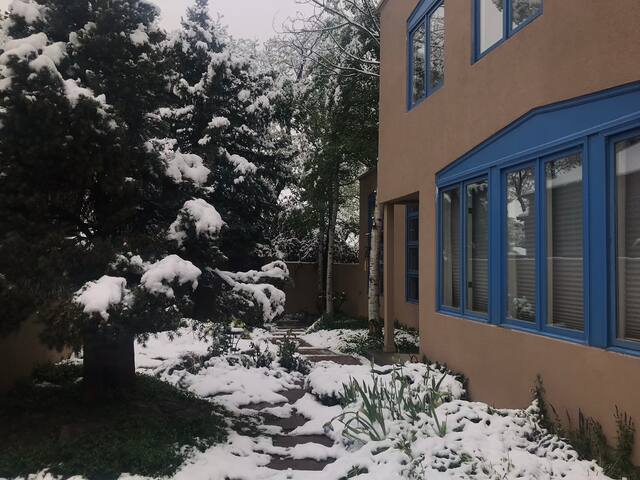 Spacious, Walkable Wash Park Residence gallery image 4