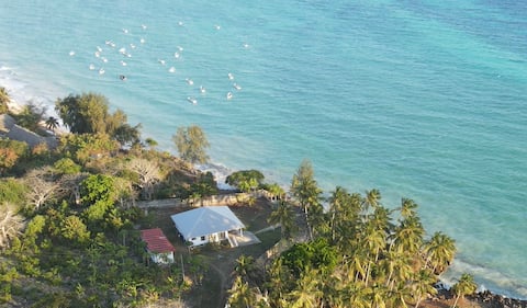 Serviced room in cottage with panoramic ocean view