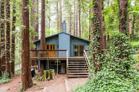 Adventure house under the redwoods, with spa! 🌲