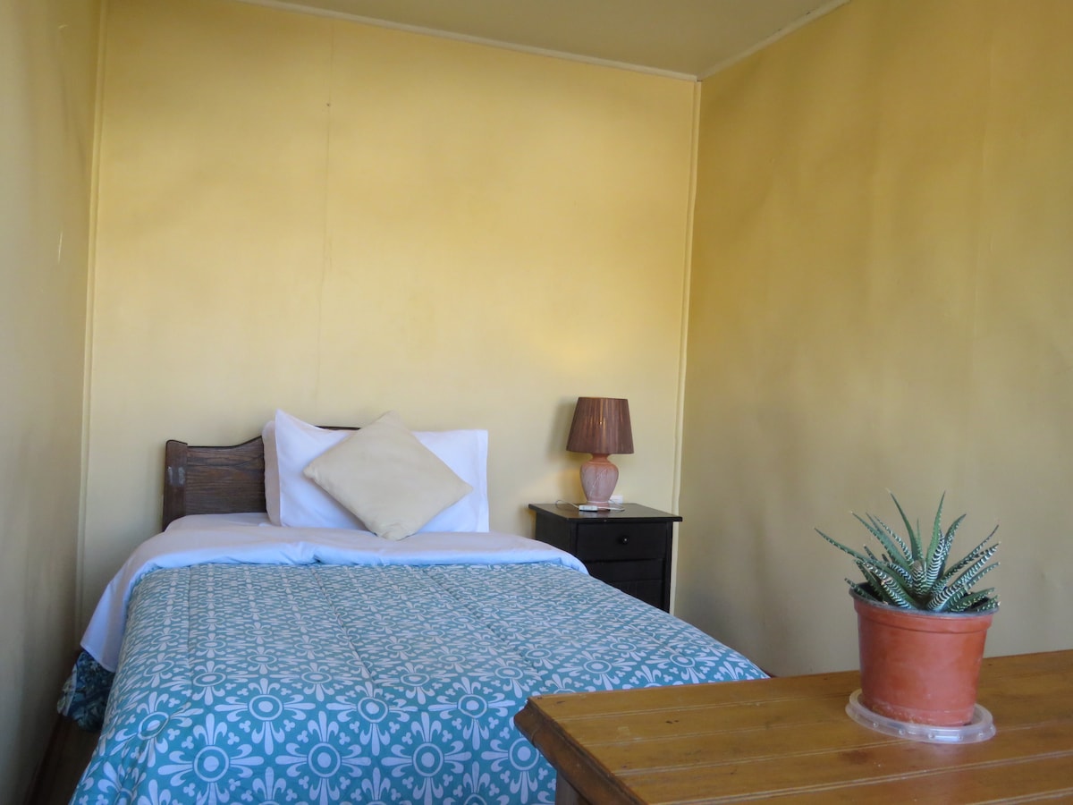 A simple bedroom features a single bed with a light blue and patterned coverlet. A neutral-colored decorative pillow rests against the headboard. A bedside table holds a lamp, and a small potted plant adds a touch of greenery to the wooden surface.