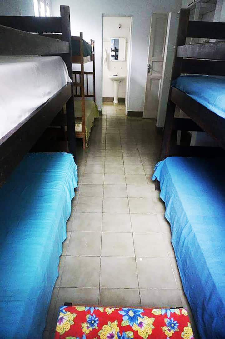 suite com terres belich