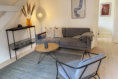Lovely Scandinavian apartment in Viborg Centre
