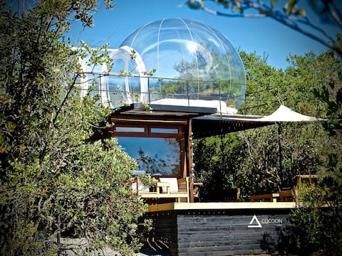 Cocoon Lodge in Lake Colbun