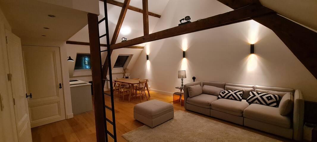 Big modern 5-bedroom townhouse with sunny garden. gallery image 5