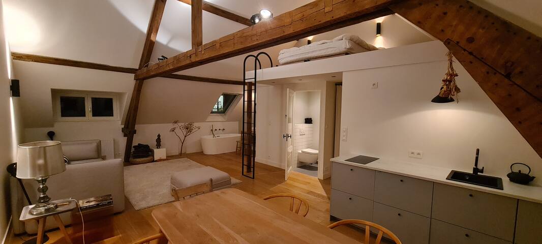 Big modern 5-bedroom townhouse with sunny garden. gallery image 4