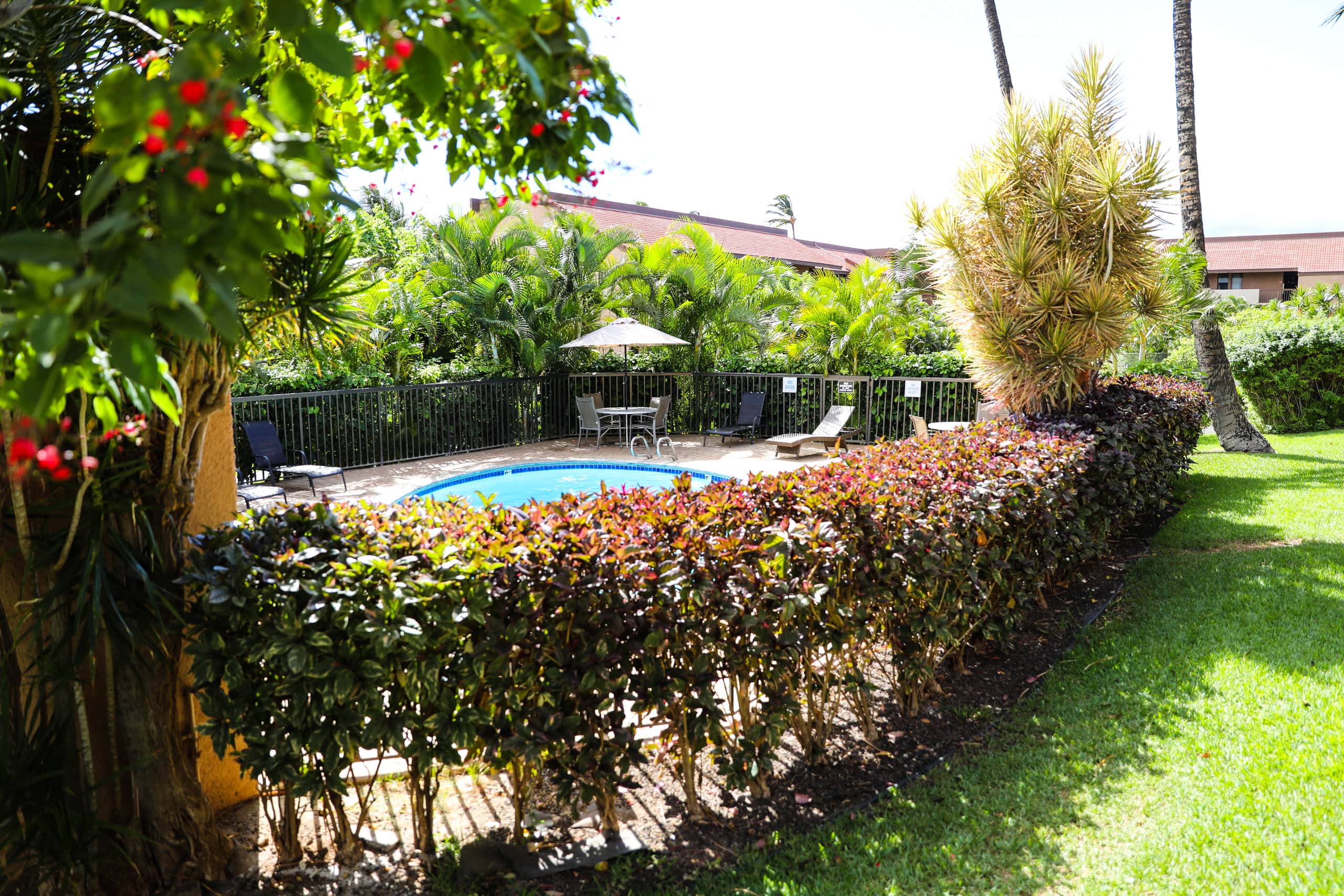 Condo in Kihei · ★4.89 · 1 bedroom · 3 beds · 1 bath - Image 1