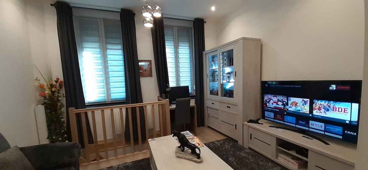 Propriété Airbnb réussie: Basement apartment, new, great comfort, private parking included à Lille