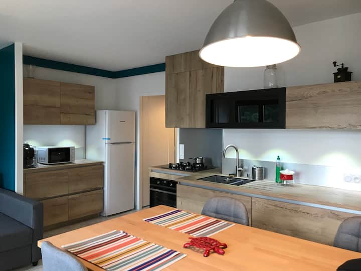 Chalerous duplex apartment - Condominiums for Rent in La Balme-de ...