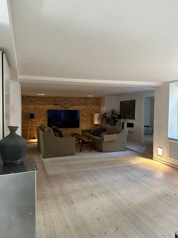 Luxury apartment in Copenhagen