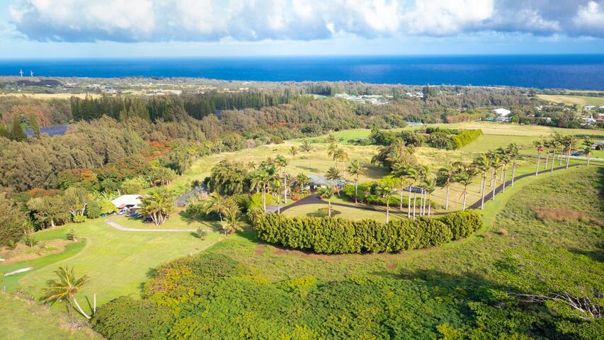 23 Acre Farm 8 Beds Spacious Home with Ocean Views gallery image 3