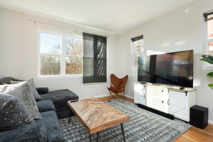Salon avec télévision 65".