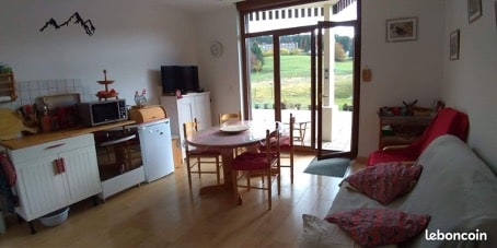 An open living area is presented, featuring a kitchen with essential appliances, including a microwave and dishwasher. A round dining table with chairs is positioned near a large door that opens to outdoor views. A red couch with cushions completes the inviting space.