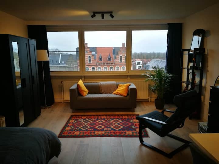 Cozy studio close to the center, station and park Apartments for Rent