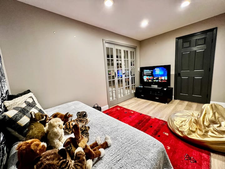 Downstairs TV & Video game room with french door connecting to the game room. 
Foldable card table for board and card games.
Daybed is a twin bed. Another foldable twin bed available.