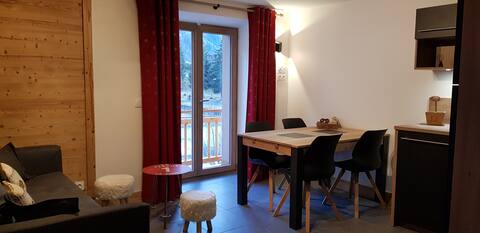 Top Airbnb: Lovely new apartment with a mountain feel. à Pralognan La Vanoise