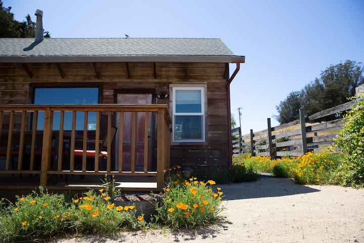 Ranch For Lease California