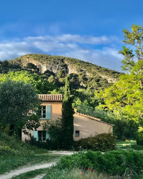 The Sheepfold of Château Fontvert